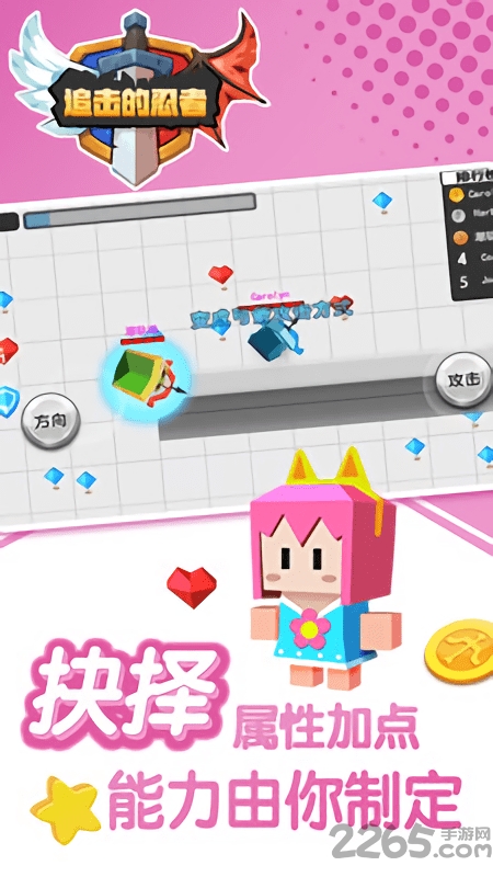追击的忍者完整版
