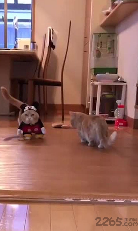 火秀视频助手app