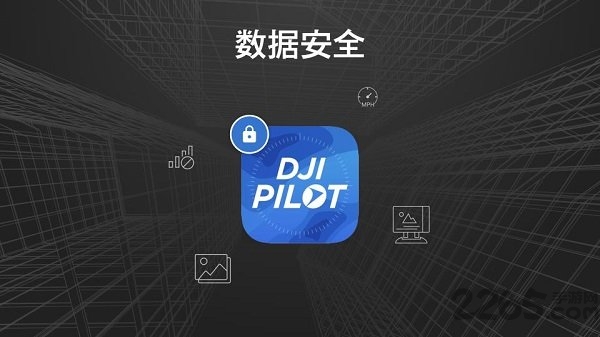 大疆djipilot官方