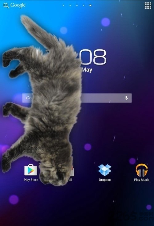 猫在屏幕上app 猫在屏幕上软件下载