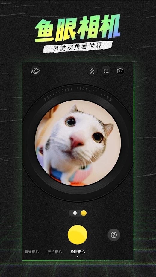 selfiecity相机软件