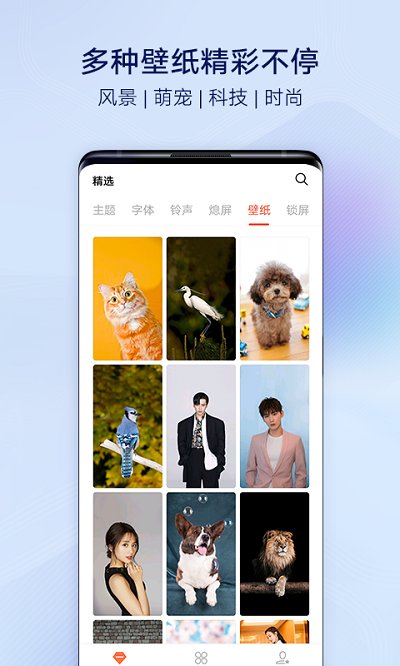 vivo主题商店官方正版 vivo主题商店下载安装最新版