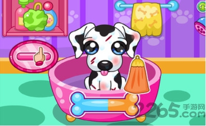 爱心狗狗沙龙最新版