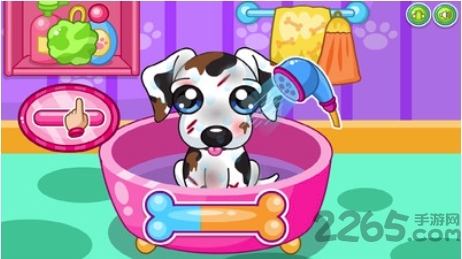 爱心狗狗沙龙最新版