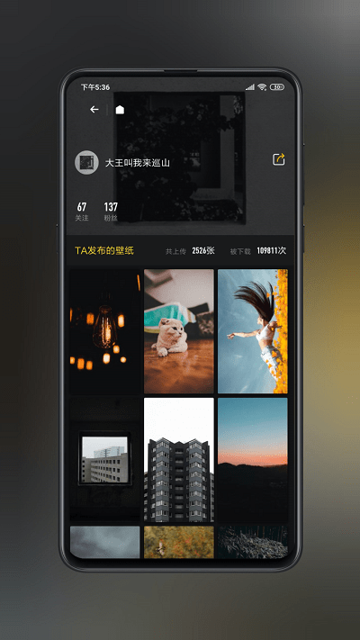 纸塘壁纸app 纸塘壁纸最新版下载