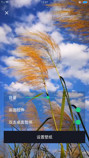 dk主题商店app dk主题商店下载安装