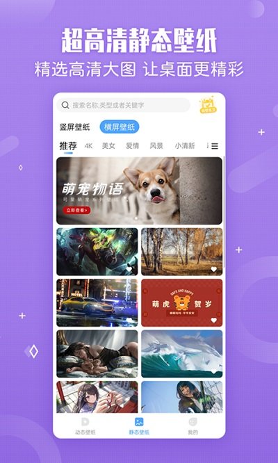 小鸟壁纸官方版 小鸟壁纸下载安装手机版免费软件