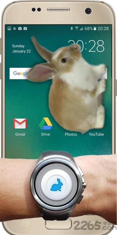 兔子在手机可爱的笑话app