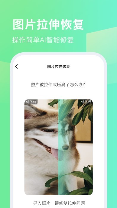 今日拍摄水印相机app 今日拍摄水印相机官方下载