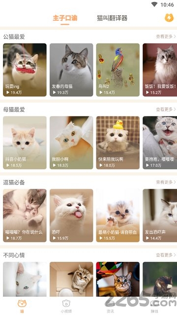 逗猫咪 逗猫咪app下载