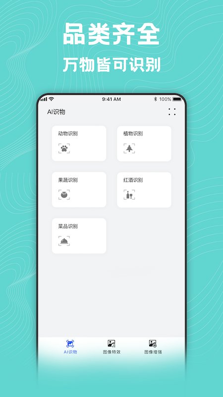 图片动漫风格转换大师软件