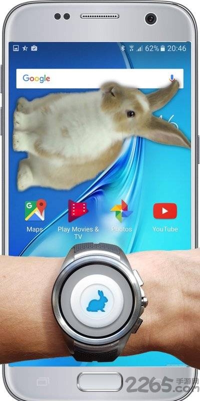 兔子在手机可爱的笑话app