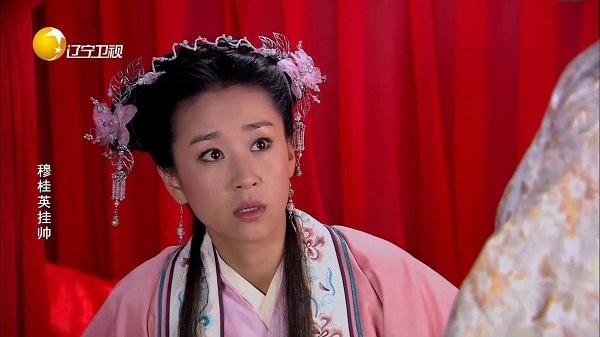 私人直播电视版