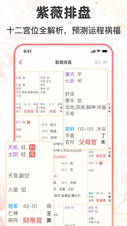 八字排盘助手软件
