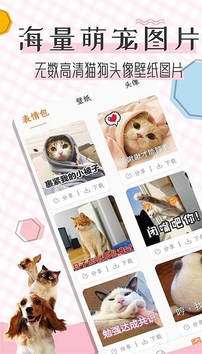 猫语翻译宝软件