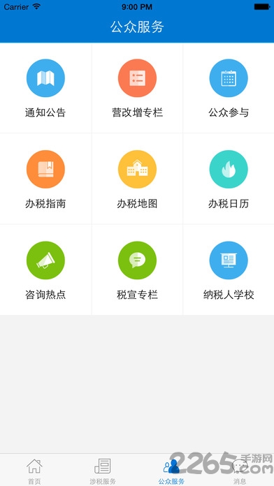 广东国税手机版