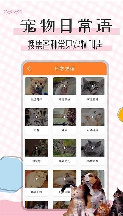 猫语翻译宝软件