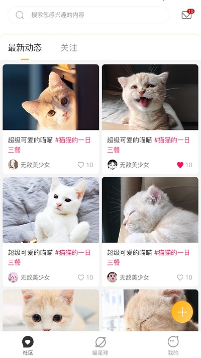 云养猫app官方版