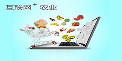 农产品批发app
