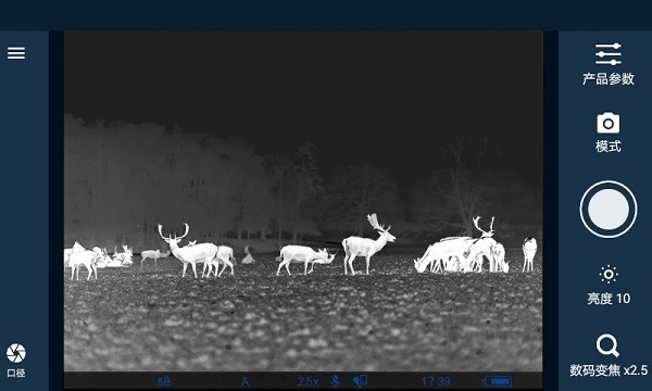 stream vision中文版