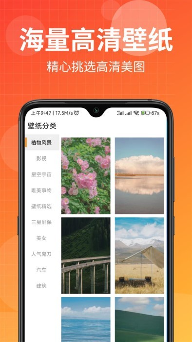 壁纸盒子纯净版app 壁纸盒子纯净版下载