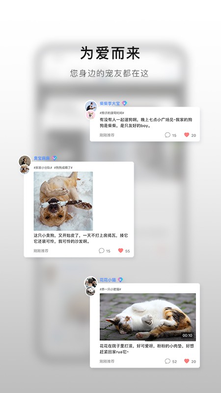 小它app