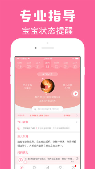 怀孕管家prov1.5官方版