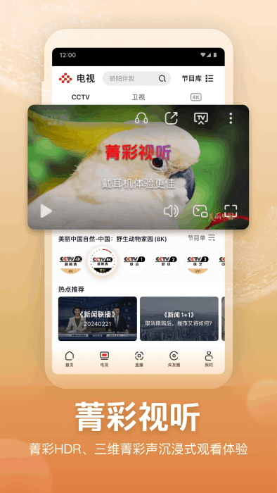 央视频hd版