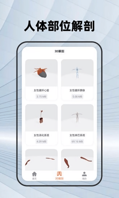 人体骨骼学习 人体骨骼app下载