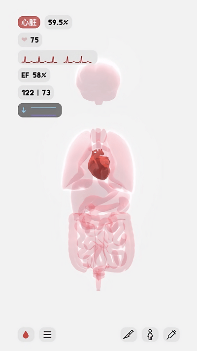 生命lifeapp 生命life最新版下载
