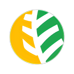 大丰车app新版