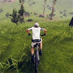 山地赛车模拟器下载安装-山地赛车模拟器最新版下载