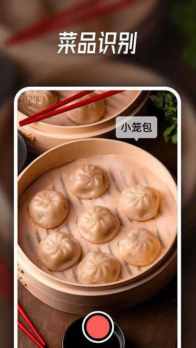 智能识别大师软件