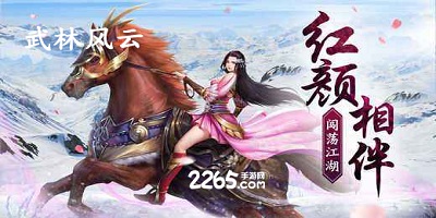 武林风云