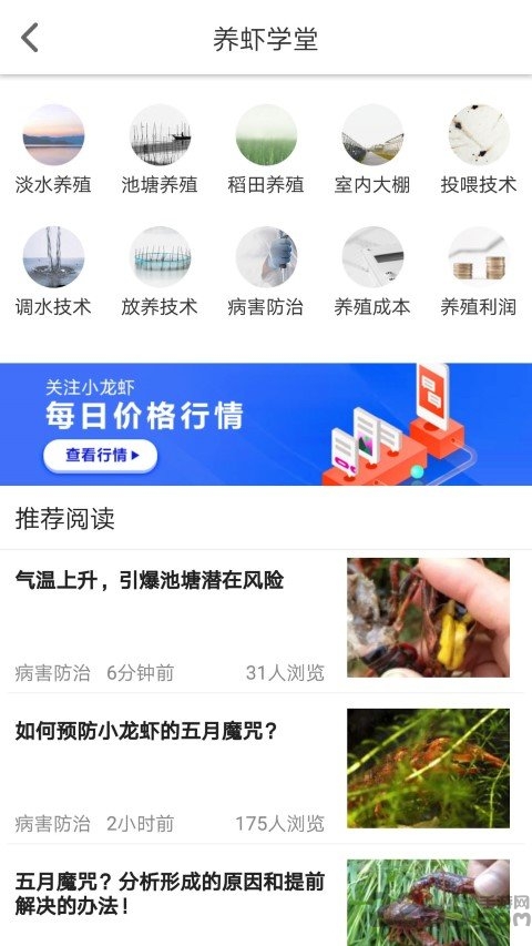 小龙虾价格网app