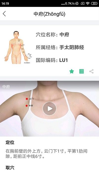 经络穴位图解 经络穴位图解手机版下载