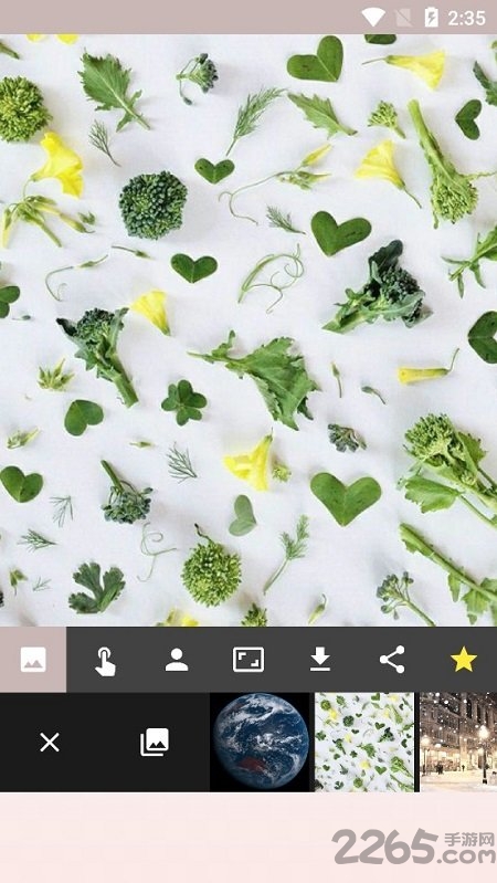 自动照片背景转换器软件