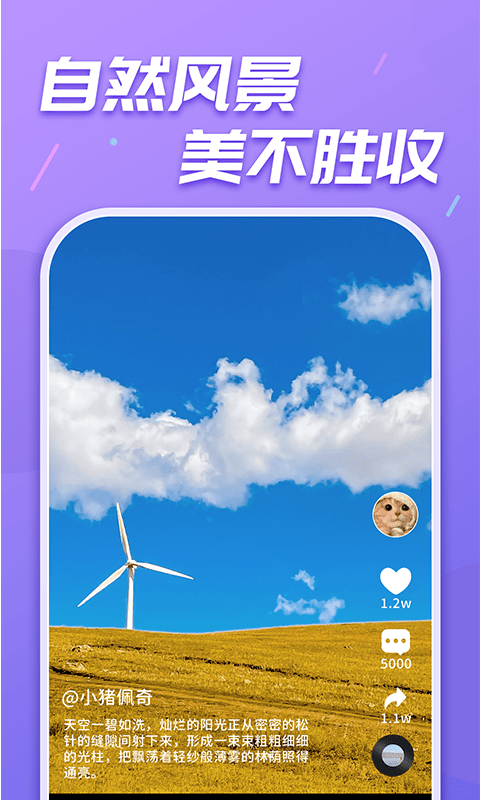 天天乐刷刷手机版