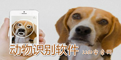 动物识别软件