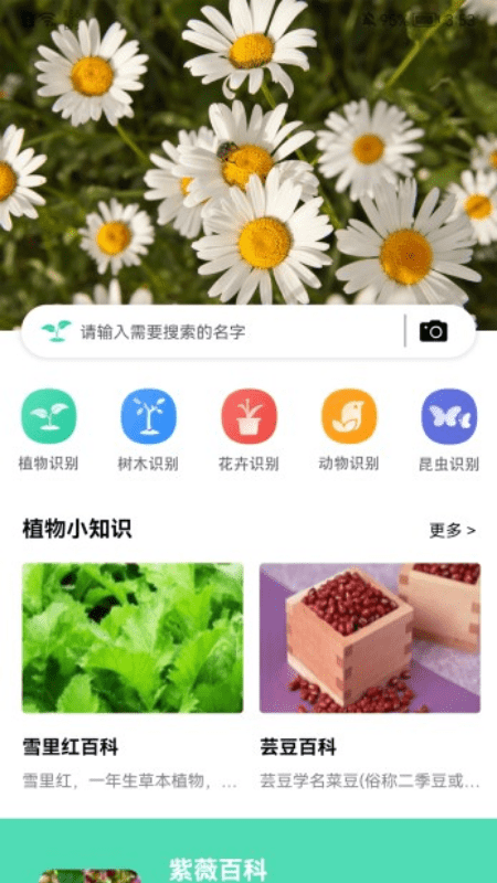 全能拍照识图最新版