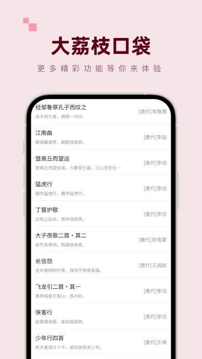 大荔枝口袋app