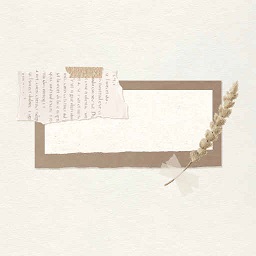 纸言app下载安装-纸言app最新版免费下载