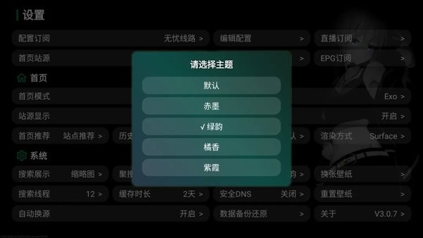 堡盒TV选择主题