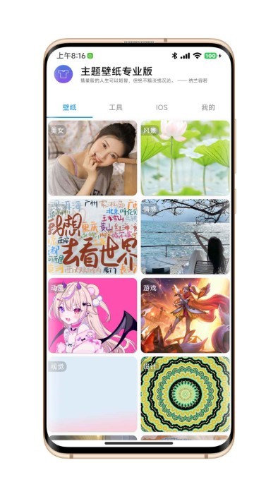 主题壁纸专业版app