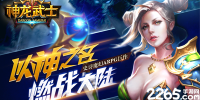 神龙武士