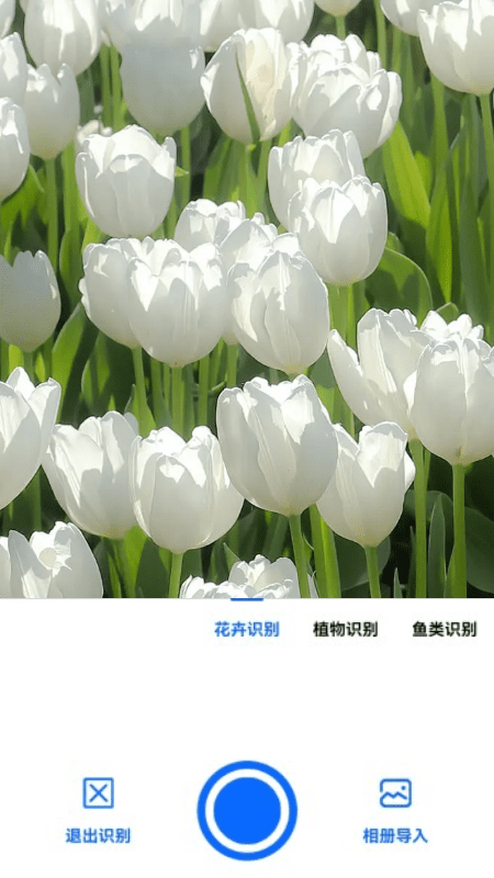 全能拍照识图最新版