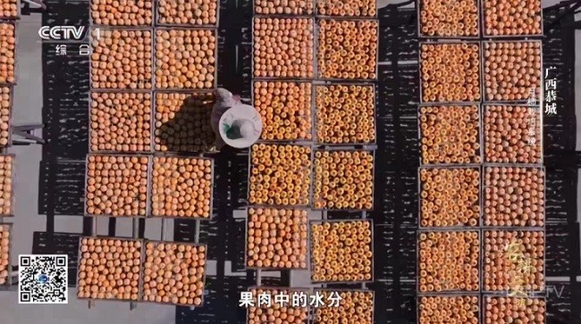 清风TV 清风TV电视盒子