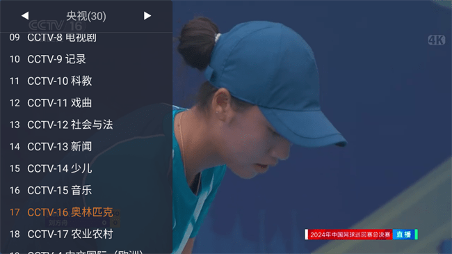 webview电视TV版.apk