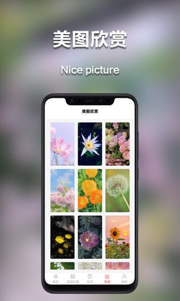 我的花园app