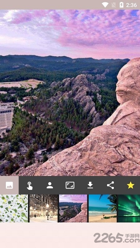 自动照片背景转换器软件